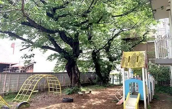 学校法人OCC　大阪キリスト教短期大学付属　幼稚園型認定こども園　聖愛幼稚園