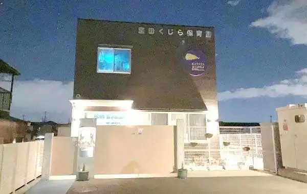 社会福祉法人くじら　堅田くじら保育園