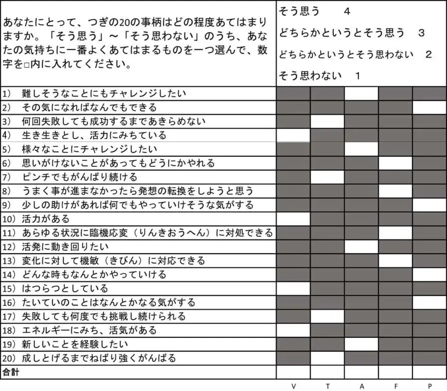 バイタリティー尺度のチェックシート