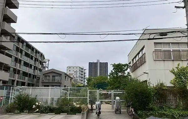 社会福祉法人 陽光会　ちとせこども園