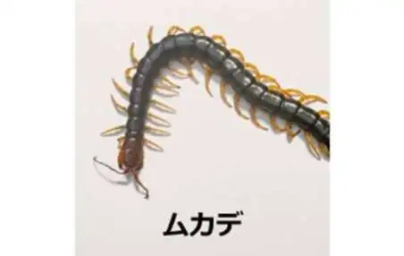 刺す、噛む、毒がある…保育園で注意すべき「夏の危険な虫」の種類と症状、その対応法